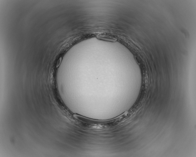 X0000110860611200907021417