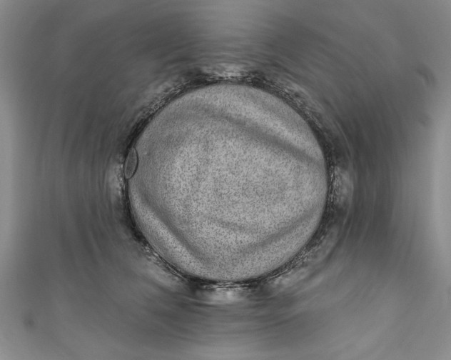 X0000110860612200907021417