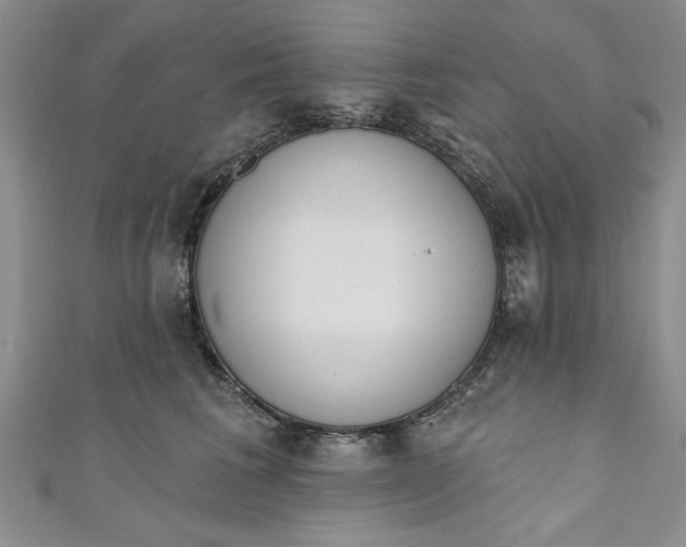 X0000110860613200907021417