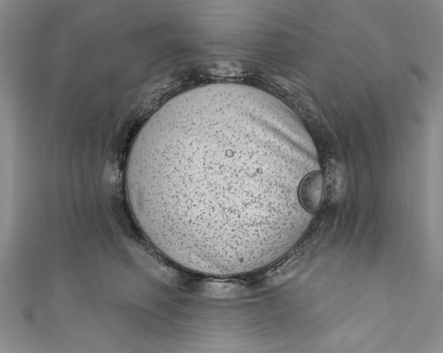 X0000110860614200907021417