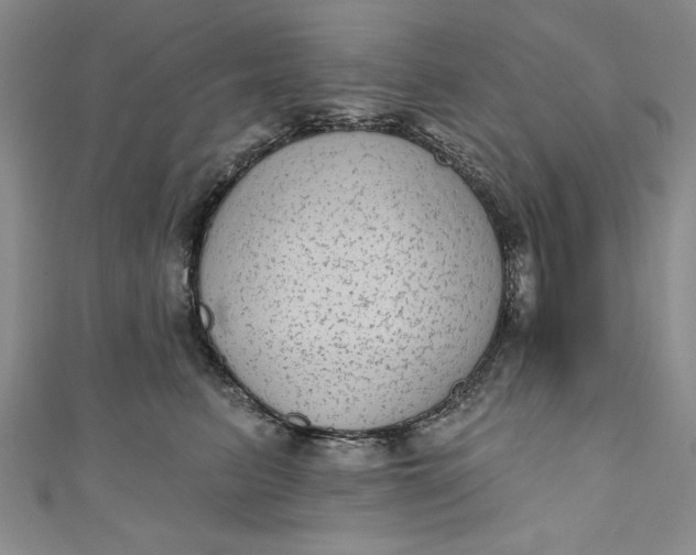 X0000110860615200907021417