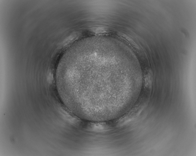 X0000110860618200907021417