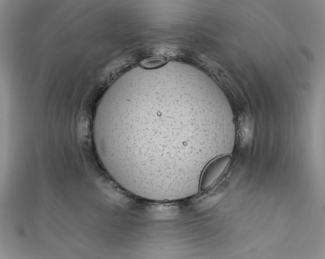 X0000110860619200907021417