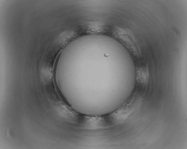 X0000110860621200907021417