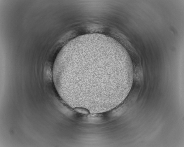 X0000110860622200907021417