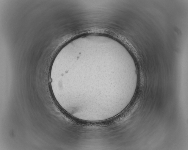 X0000110860625200907021416