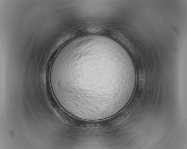 X0000110860626200907021416