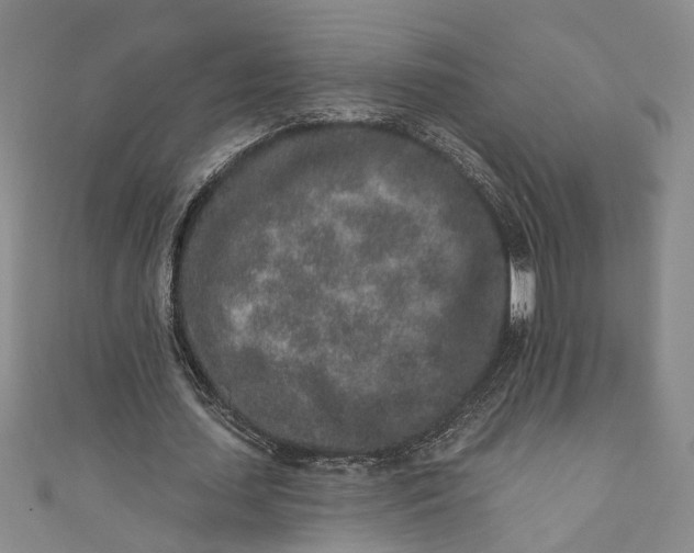 X0000110860627200907021416