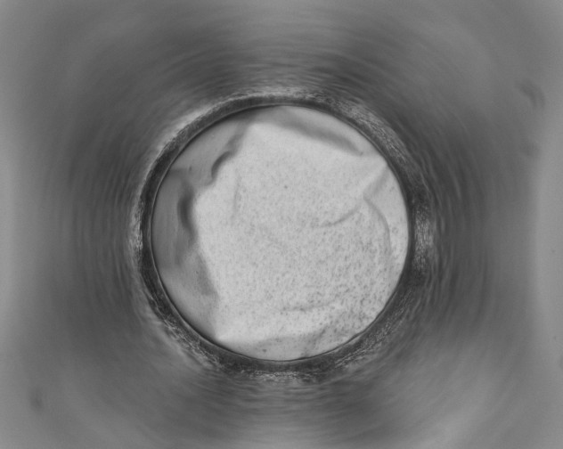 X0000110860628200907021416