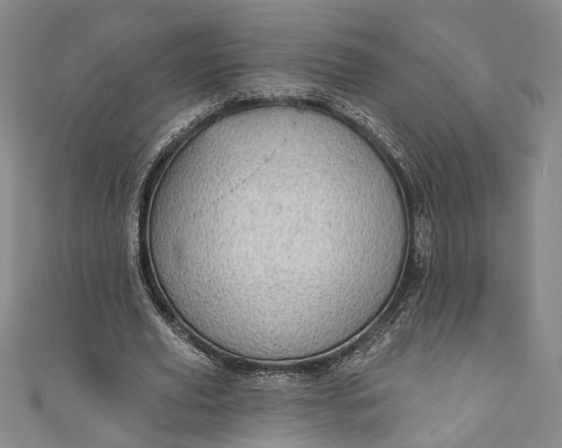 X0000110860629200907021416