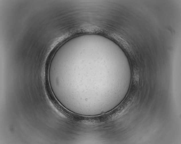 X0000110860630200907021416