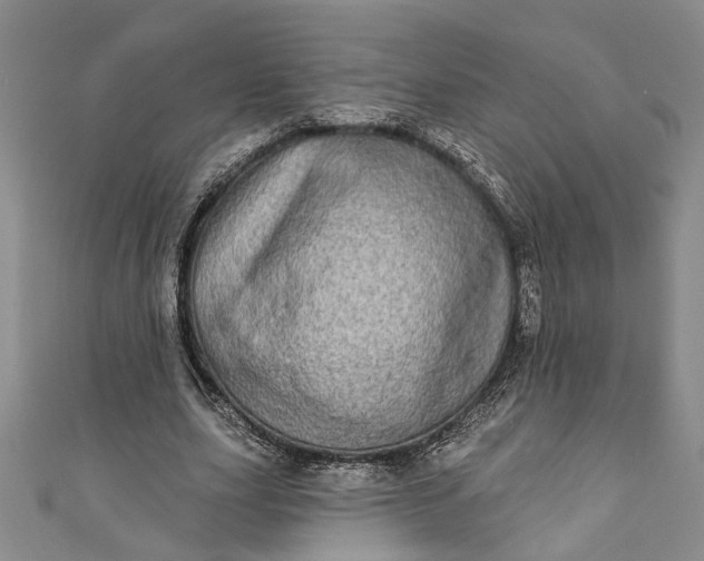 X0000110860631200907021416