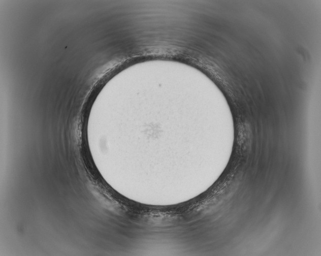 X0000110860632200907021416