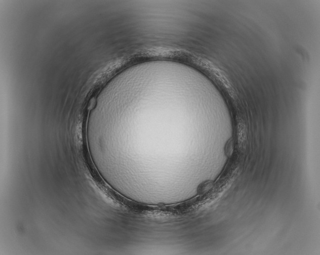 X0000110860633200907021416