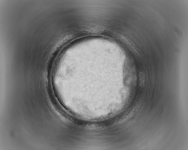 X0000110860634200907021416