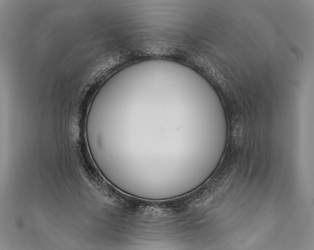 X0000110860635200907021416