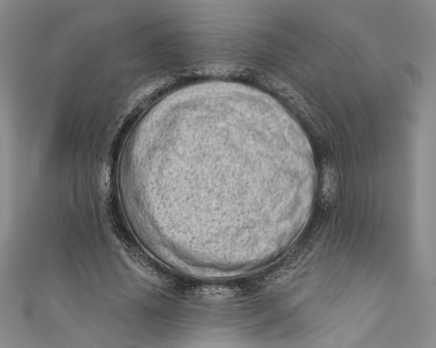 X0000110860636200907021416