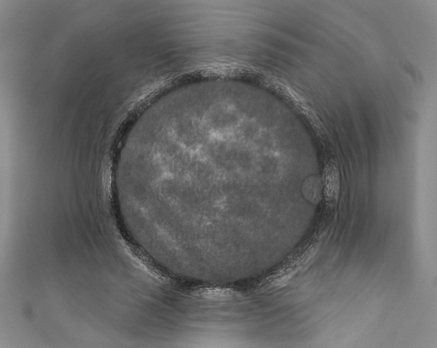 X0000110860637200907021416