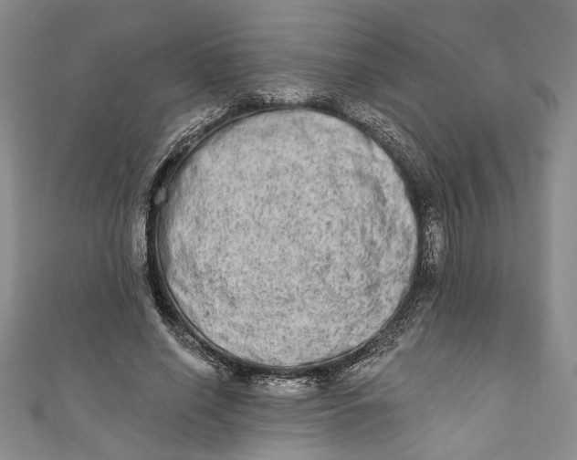 X0000110860638200907021416