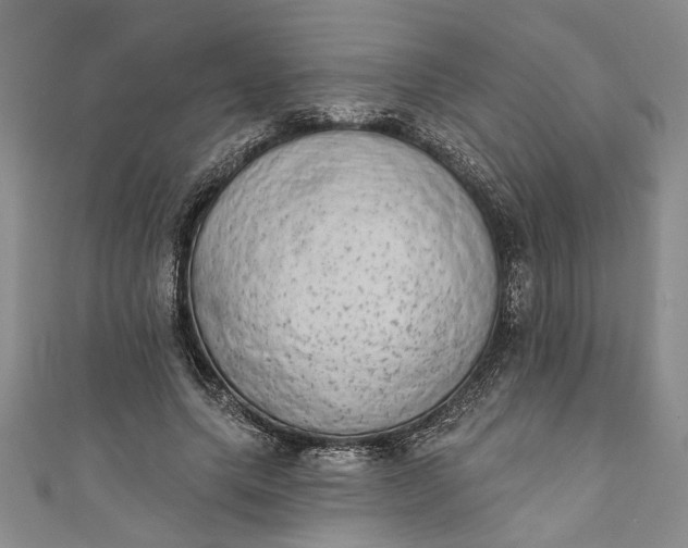 X0000110860639200907021416