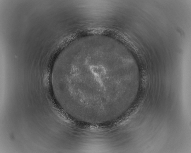 X0000110860641200907021416