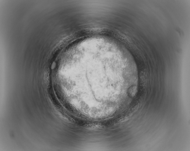 X0000110860642200907021416