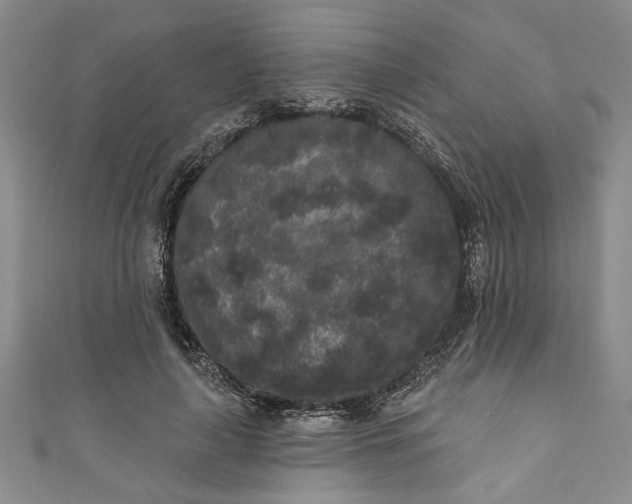 X0000110860643200907021416