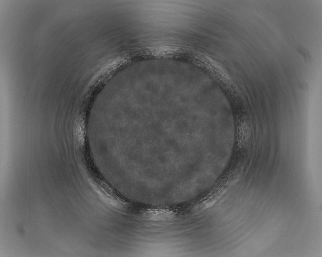 X0000110860644200907021416