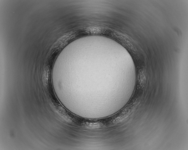 X0000110860645200907021416