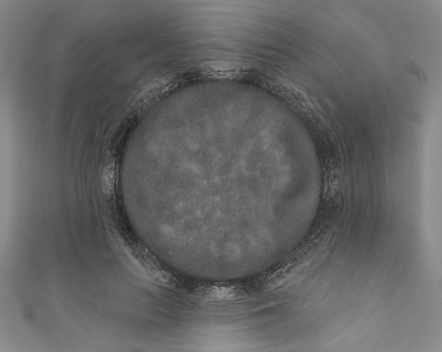 X0000110860647200907021416