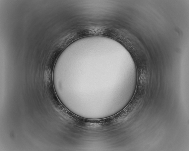 X0000110860649200907021417