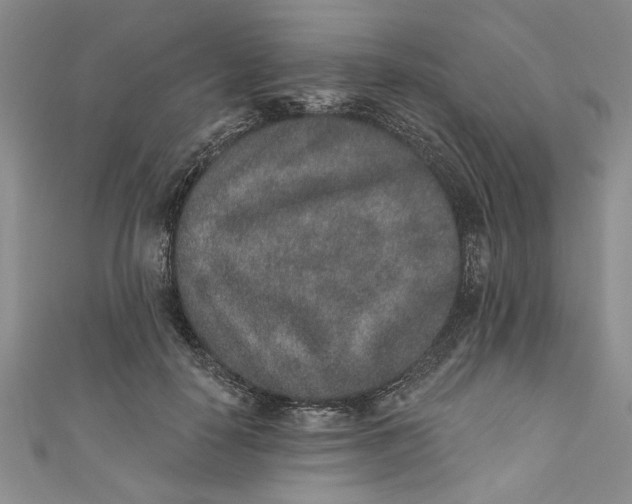 X0000110860650200907021417