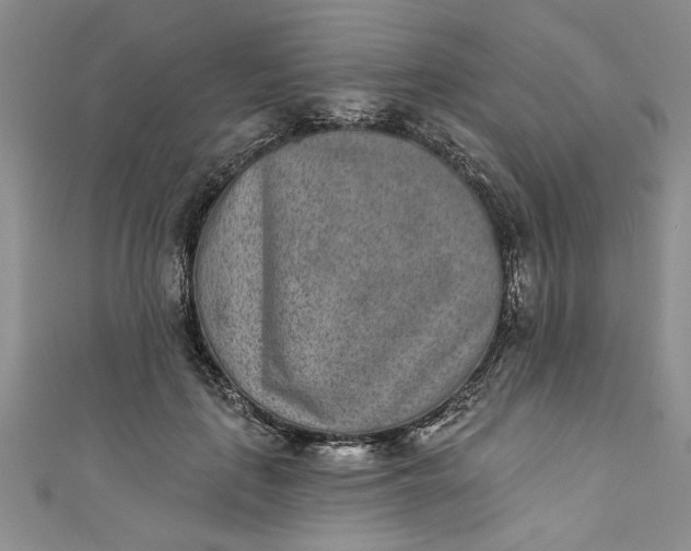 X0000110860651200907021417