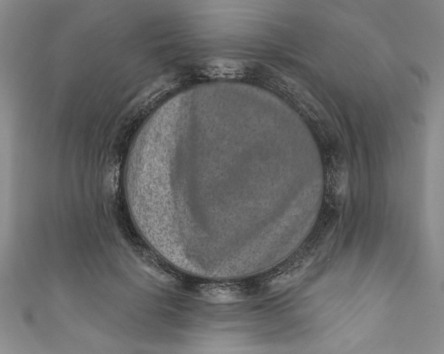 X0000110860652200907021417