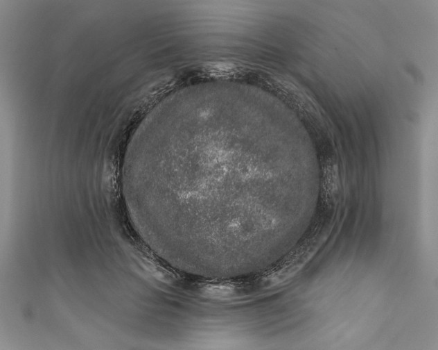 X0000110860653200907021417