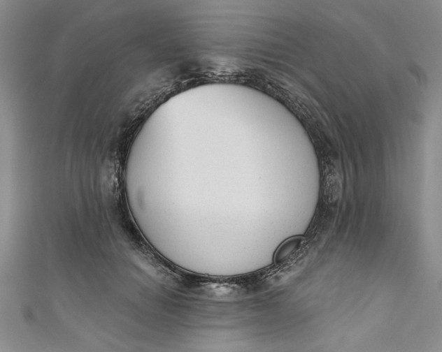 X0000110860654200907021417