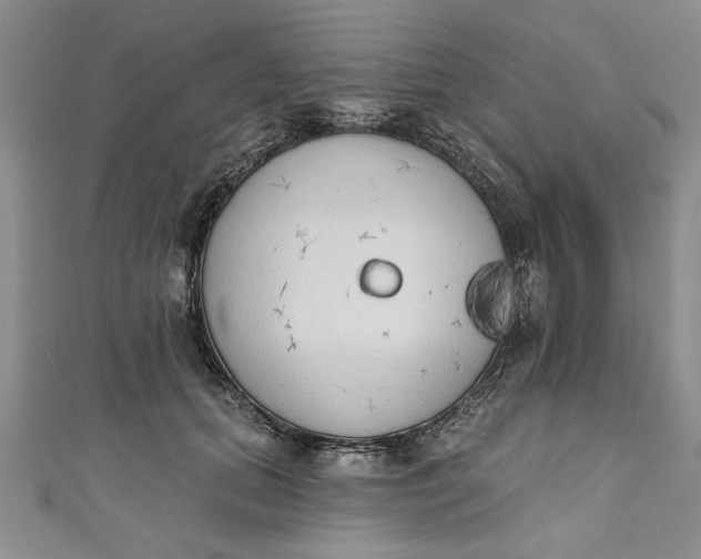 X0000110860655200907021417