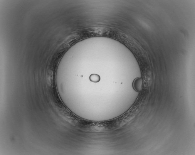 X0000110860656200907021417