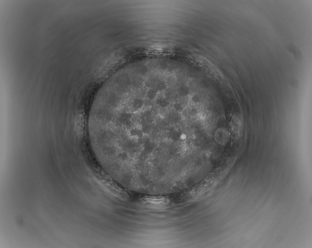 X0000110860659200907021417