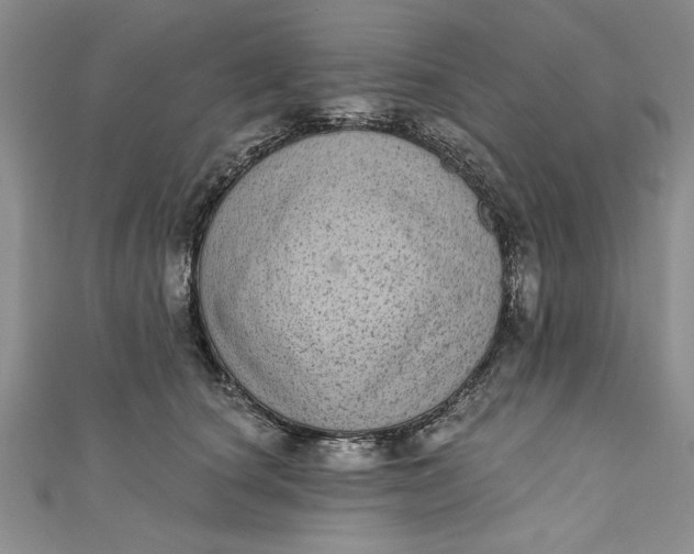 X0000110860660200907021417