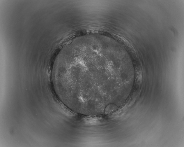 X0000110860661200907021417