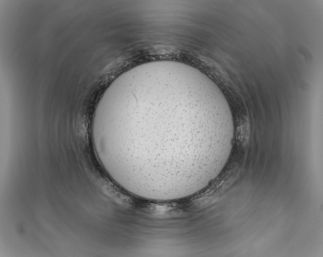 X0000110860662200907021417