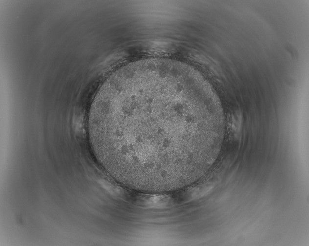 X0000110860663200907021417