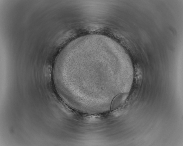 X0000110860664200907021417