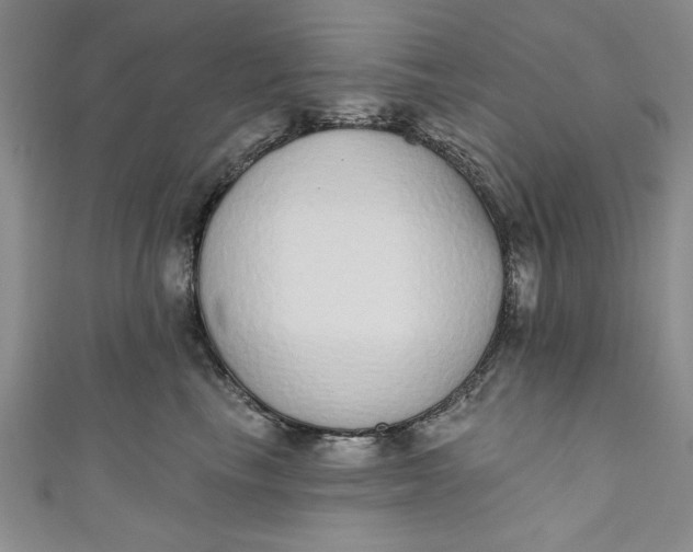 X0000110860665200907021417