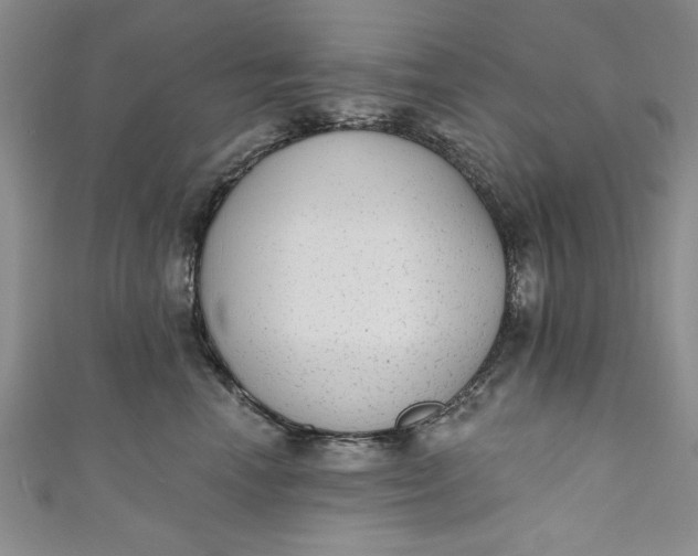 X0000110860666200907021417