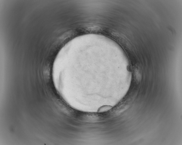 X0000110860668200907021417