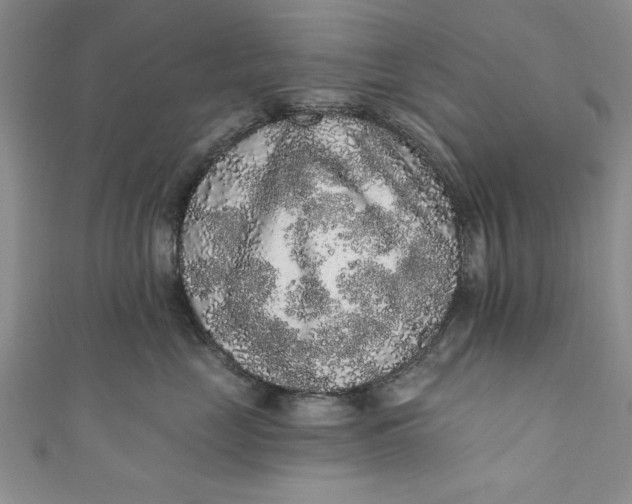 X0000110860669200907021417