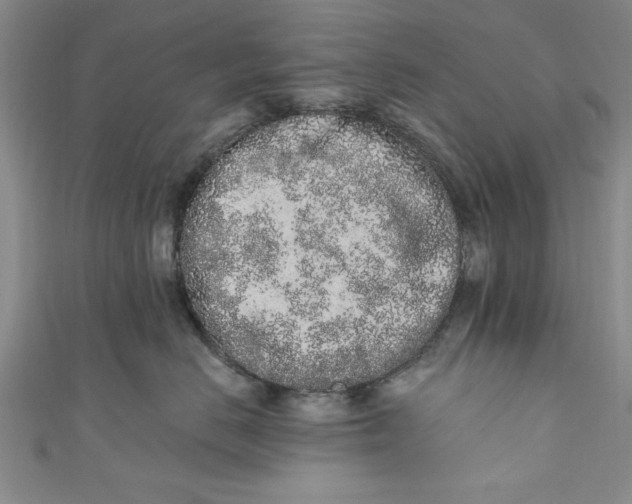 X0000110860670200907021417