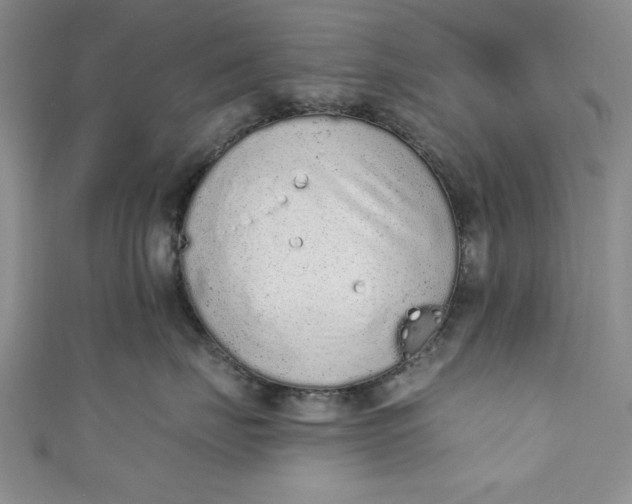 X0000110860671200907021417